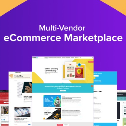 Ecommerce Shopping Multivendor Web Design Package