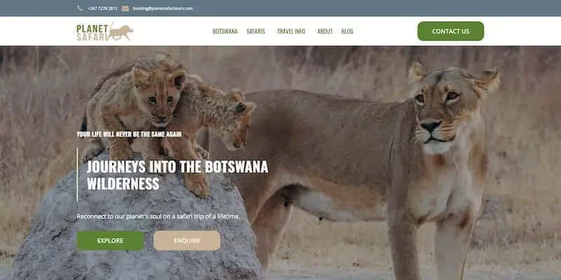 Tours and Travel Web Design Package